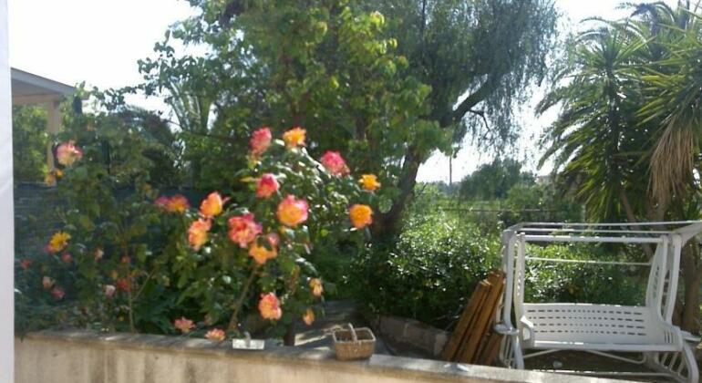 Ariel - Photo5