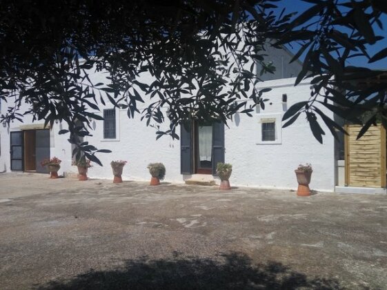 Profumo Di Terra - Photo2