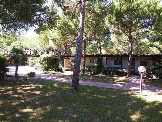 Club degli Amici Camping Village - Photo2