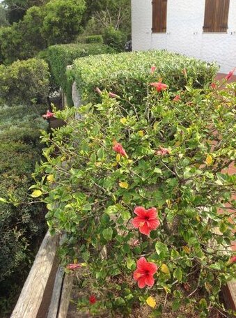 Villa Prua - Photo2