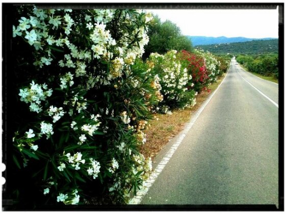 VillaBidda - Photo5