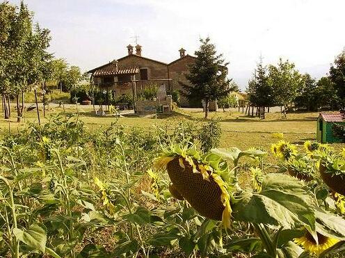 Agriturismo Ca Solare Citta di Castello - Photo3