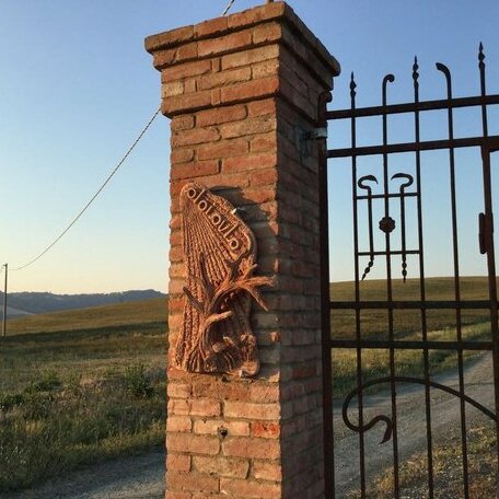 Podere Calvaiola - Photo2
