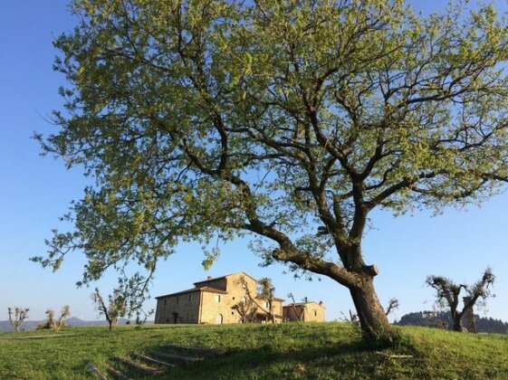 Podere Calvaiola - Photo5