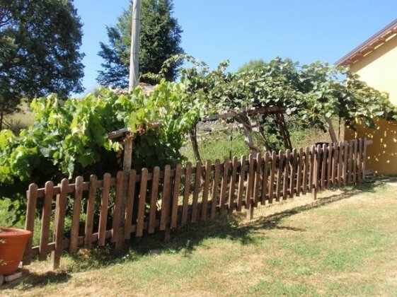 Agricampeggio L'Oasi del Pollino - Photo5