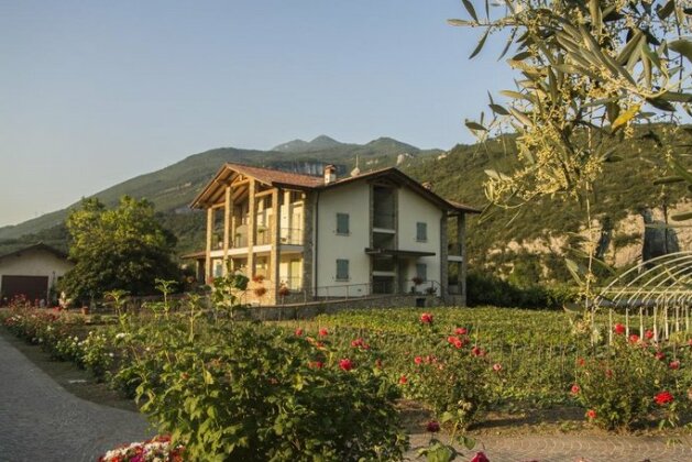Agritur Stefenelli - Photo2