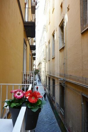 Domus Studio 25 bed & breakfast - Photo3
