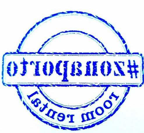 Zonaporto - Photo4
