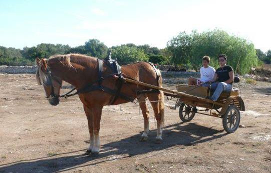 Agriturismo La Lucia - Photo2