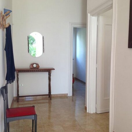 Sarparea - Photo2