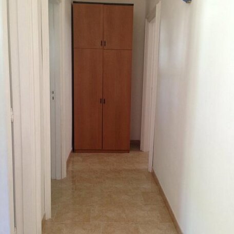Sarparea - Photo3