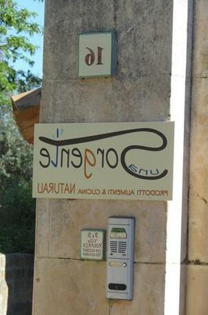 Villa Rosaria - Photo4
