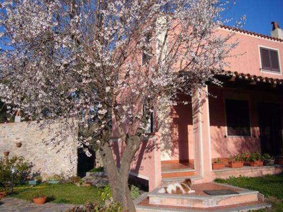 Bed & Breakfast Gio Franziscu Olbia