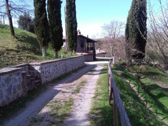 Fattoria La Cerchiara - Photo4