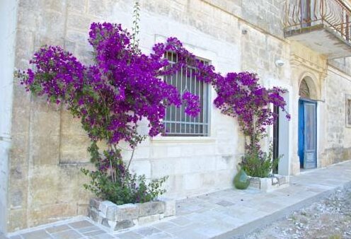 Casa del Sud - Photo2