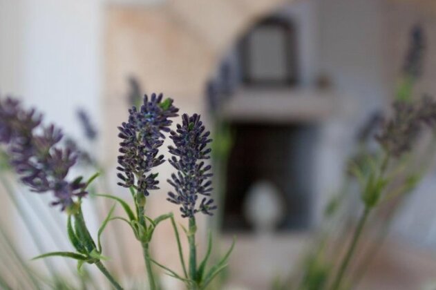 Masseria Belfiore - Photo2