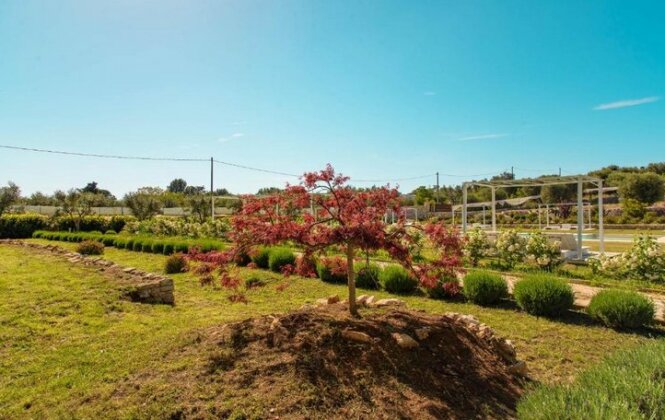 Tenuta Ermes - Photo5