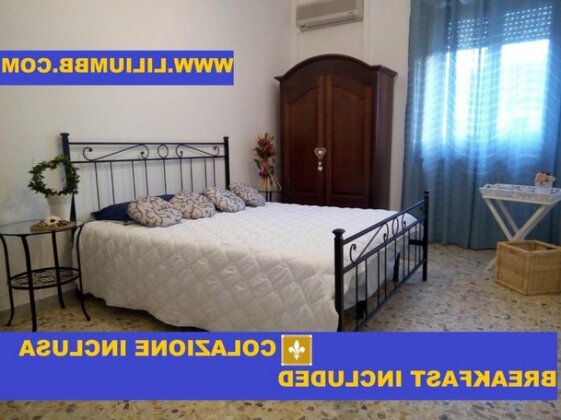 B&B Lilium - Photo2