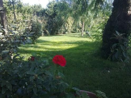 MyLife B&B - Photo4