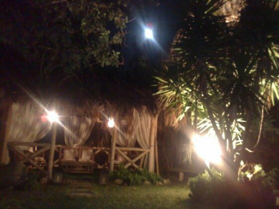 Ambra de Nuit - Photo2