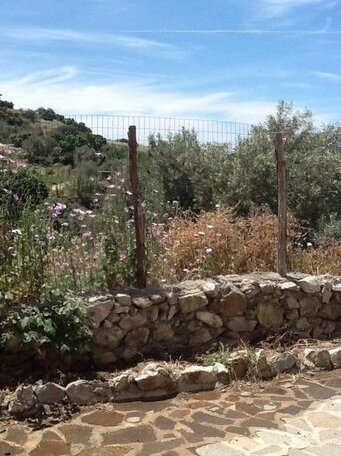 Il Tancre - Photo5