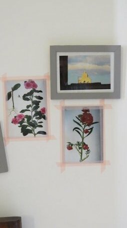 Meli20home - Photo4