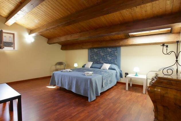 Olivella62 - Photo3