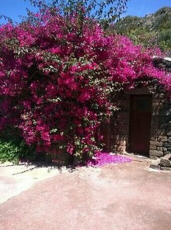 Holiday home Dammuso Magia