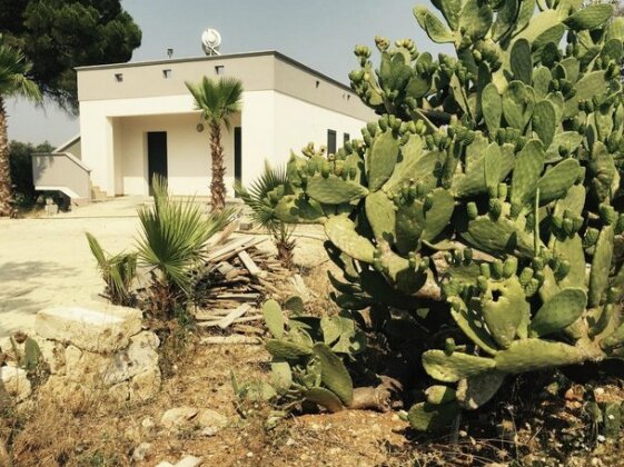 Casa Vacanze Paduli - Photo5