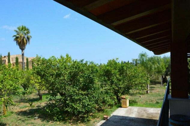 Borgo Parrini - Photo3