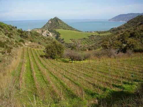 Antica Tindari - Photo4