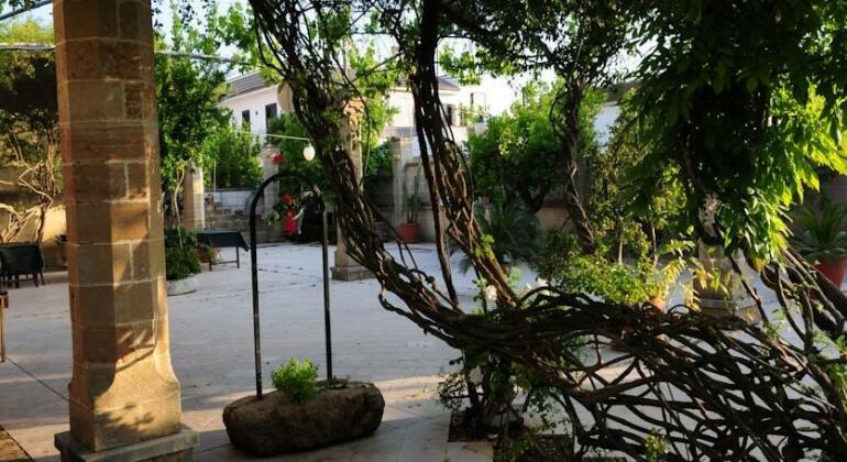 Mamma Rosa - Photo5