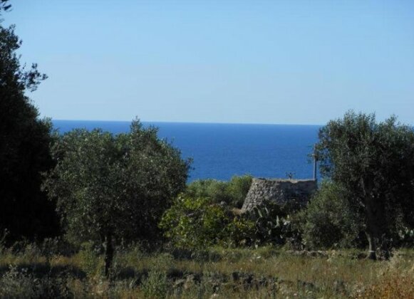 Pajara Petra - Photo3