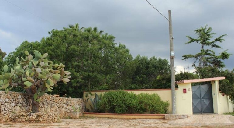Villa Messapia - Santa Maria Di Leuca - Photo2