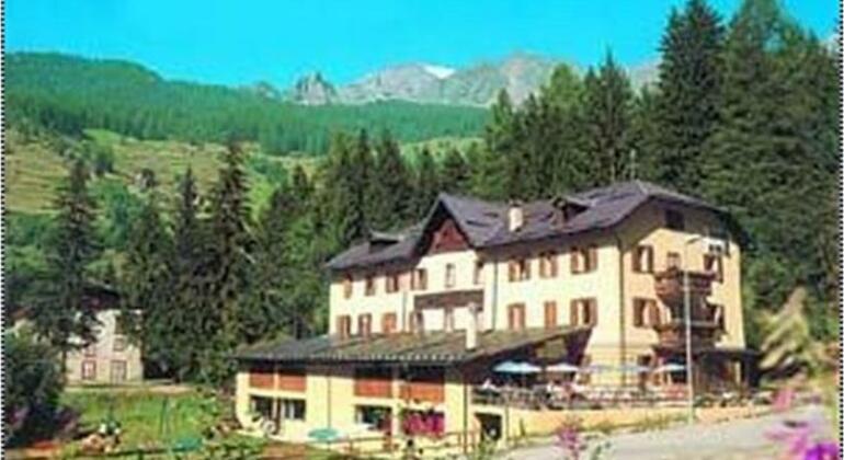 Hotel Alpen - Photo2