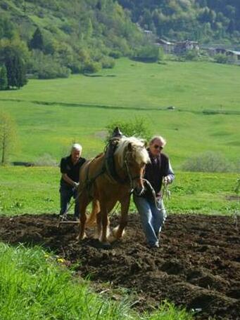 Agritur Bontempelli - Photo4