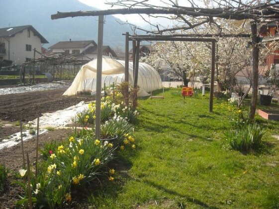 Agritur Bortolotti - Photo2