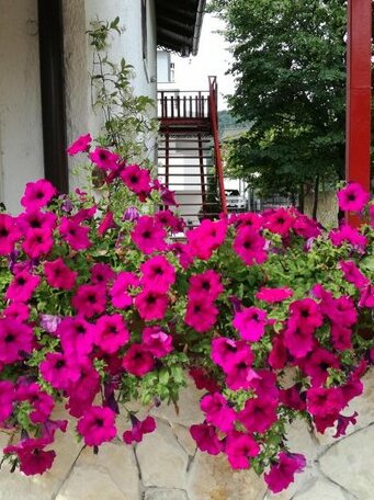 Casa Valcanover - Photo5