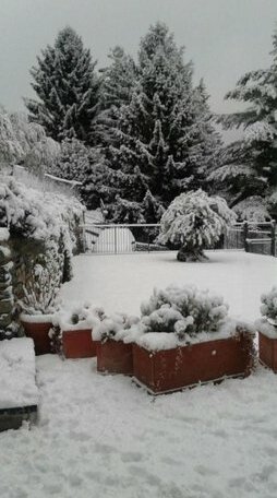 Villa Silvi con piscina - Photo2