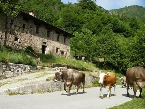 Agriturismo Le Fratte - Photo2