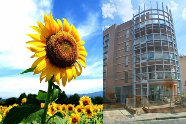 Casa dei girasoli Perugia