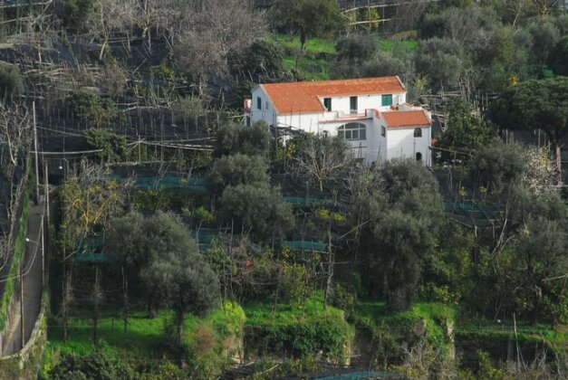 Old Farmhouse Set In A Citrus Grove - Photo5