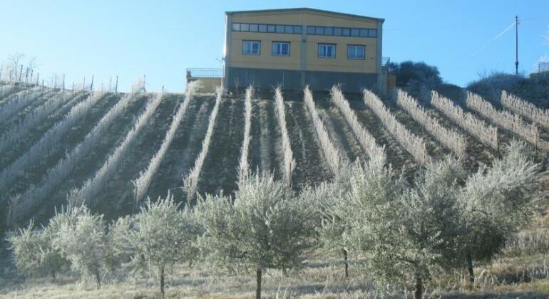 Agriturismo I Calanchi di Riosto