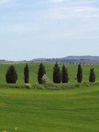 Agriturismo Torrevecchia - Photo5