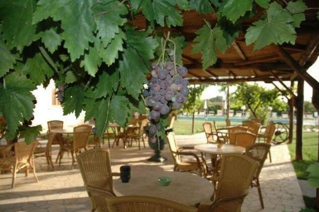 Fattoria Il Giardo - Photo4