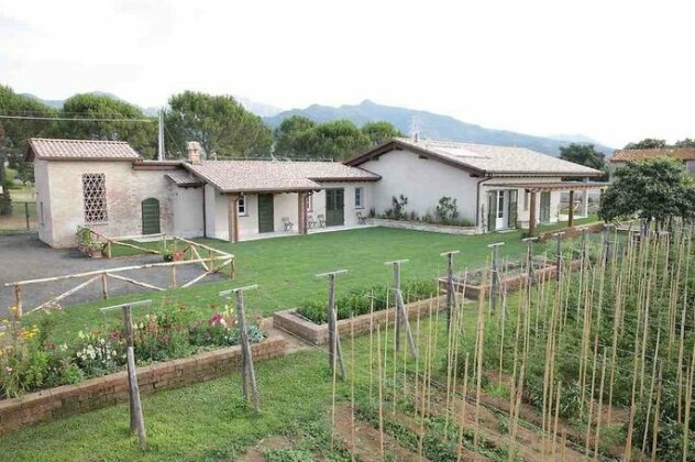 Olimagio - Photo3
