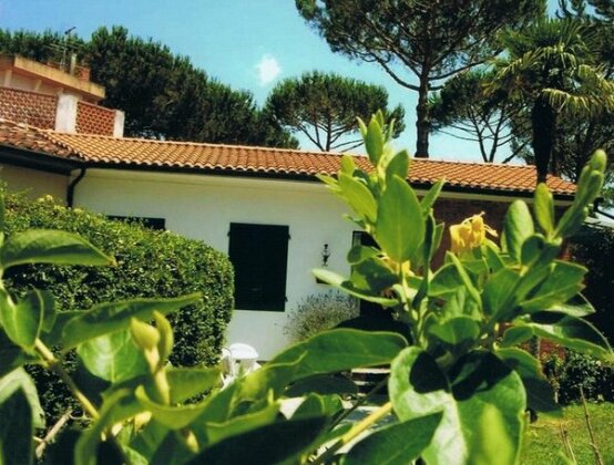 Villa Simoni - Photo3