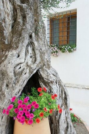 Santo Mercurio Country House - Photo2