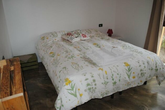 Agriturismo Le Piagge - Photo4
