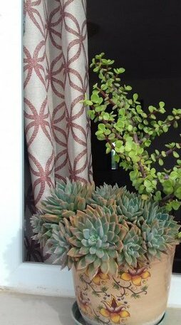 Stanze Nel Verde - Photo2